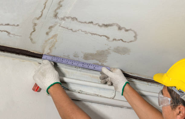Reliable Water Damage Repair contractor in Frankston, TX by Aqua Guard Water Damage
